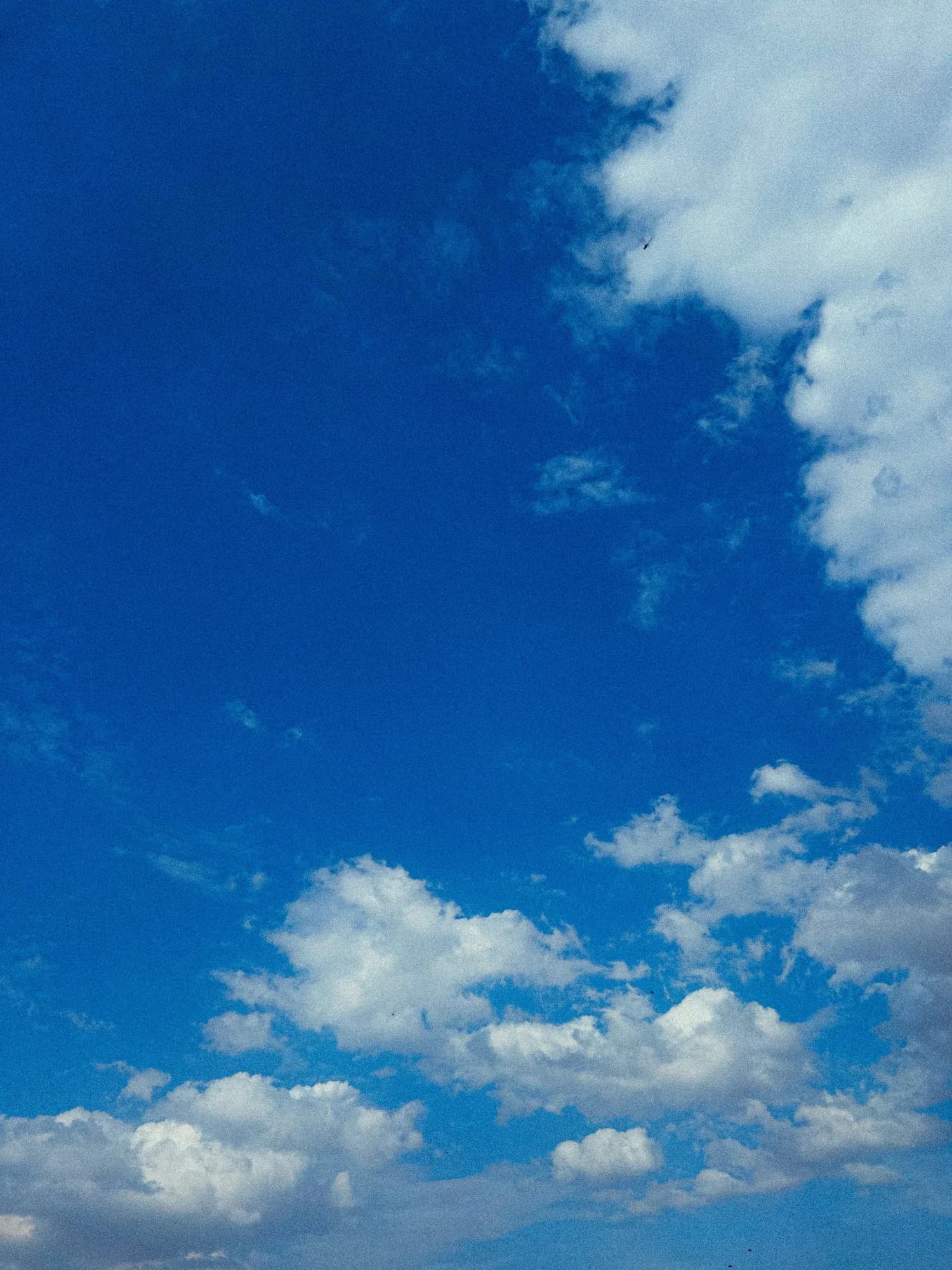 Deep blue sky with a bank of white clouds